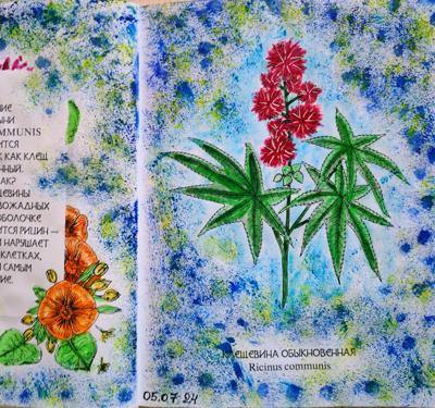 Работа от Lana hobby
