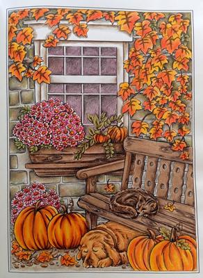 Работа от OlgaCh