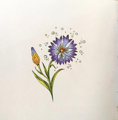 Работа от polina.guskova