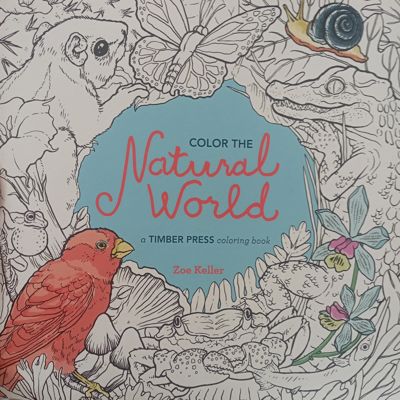 Natural world