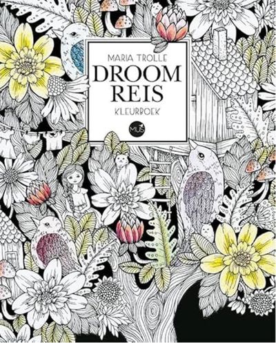 Droom reis