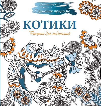 Котики