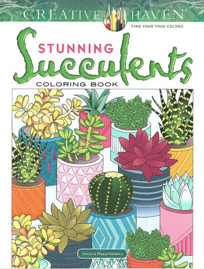 Stunning Succulents