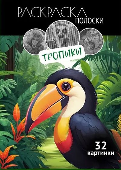 Тропики