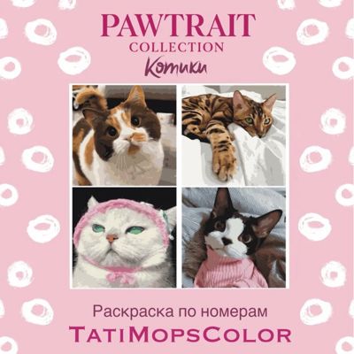 Котики