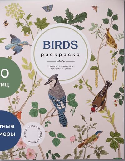 Birds