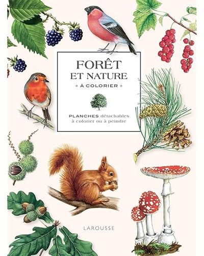 Forêt et nature à colorier: Planches détachables à colorier ou à peindre