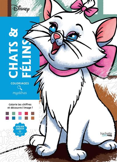 Chats & felins
