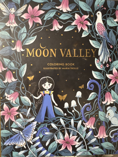 Moon Valley Coloring Book