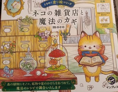 The Cat General Store and the Magic Key