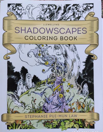 Llewellyn's Shadowscapes Coloring Book