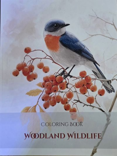 Woodland Wildlife