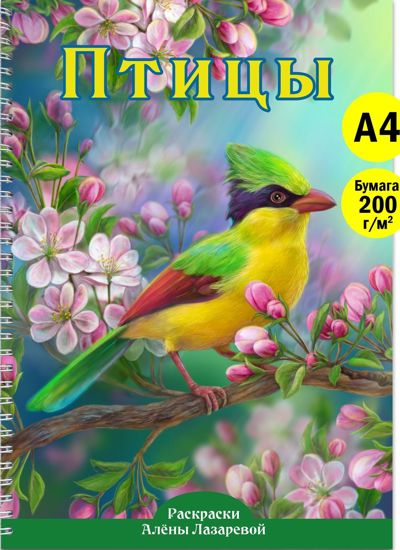 Птицы
