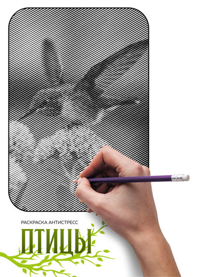 Птицы