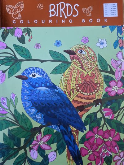 Birds colouring book
