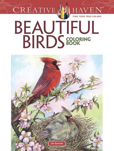 Beautiful Birds