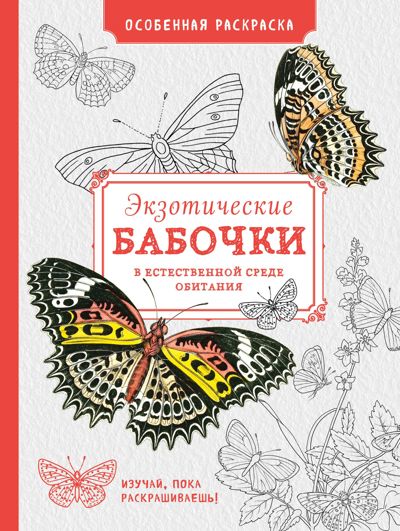 Экзотические бабочки в естественной среде обитания. Особенная раскраска