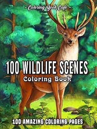 100 wildlife scenes