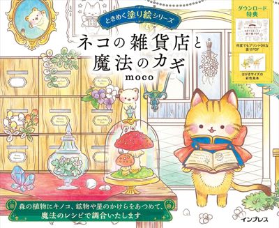 The Cat General Store and the Magic Key