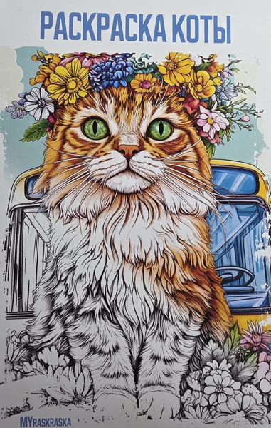 Коты
