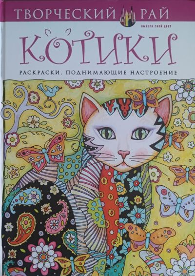 Котики