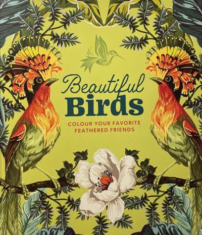 Beautiful birds