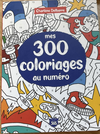 Mes 300 coloriages au numero
