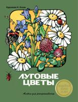 Раскраска «Луговые цветы»