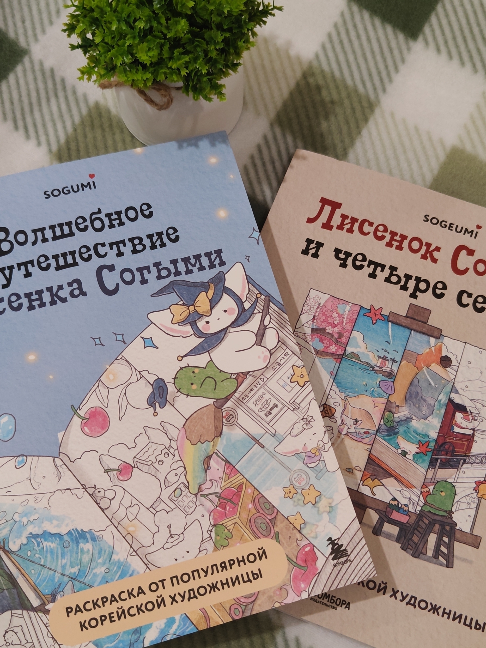 Лисенок Согыми