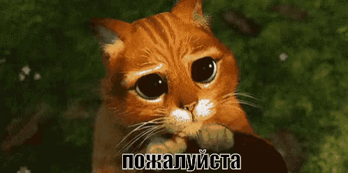 Дубли книг